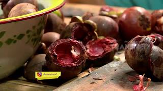 BOCAH PETUALANG | CLOROT DAN GUYANG JARAN DARI PURWOREJO (11/04/18) 3-3