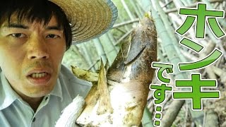 ホンキでタケノコ掘りした結果…