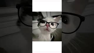 это правда я очень хочу 100 пдп прошу🥹