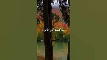 ظهر الفساد في البر والبحر بما كسبت أيدي الناس 🌹تلاوة خاشعة تخشع لها القلوب