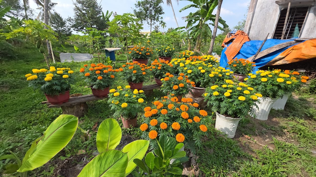 Viếng mộ Ông Bà 23 Tết