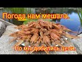 НочнаЯ поимка РакоВ. Испытание палки-раколовки прошло удачно.