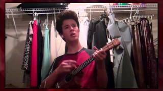 Can't Help Falling In Love - Elvis Presley/Twenty One Pilots Ukulele Cover