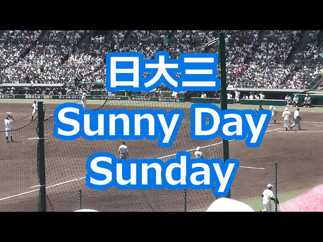 Sunny Day SundaySENTIMENTAL:BUS