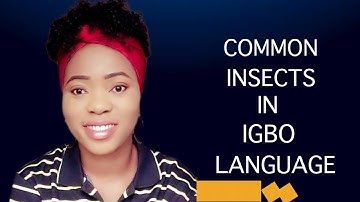 Common Insects in Igbo Language | Umu Aruru Di iche iche