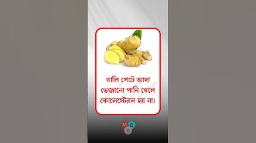 general knowledge || quiz | spinal cord। part-781