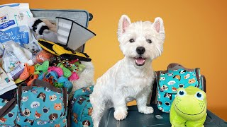 My Westie has more SHOES than me! | Packing for a long trip through Europe with my dog