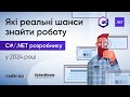 Які реальні шанси знайти роботу C#/.NET розробнику в 2024 році?