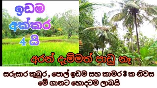 අක්කර 4 ක ඉඩම සමග නිවස අඩුවට  | Land for sale in Nagollagama  Sri Lanka | Kandy Property