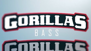 Transmissão ao vivo de Gorillas Bass