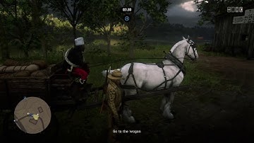 RDR2 Online: Posse Members!