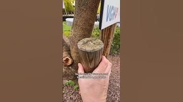 Amazing Geocache Hidden In Plain Sight! #geocache #geocaching #hiddeninplainsight