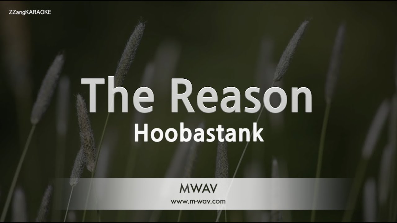 Hoobastank the reason