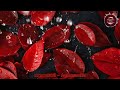 ആത്മസഖി Aathmasakhi – Soulmate Malayalam Song | Immersive Soft Beats | ASMR 3D Audio Love Song 🎧💫