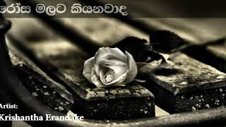 Rosa Malata Kiyanawada රෝස මලට කියනවාද | Krishantha Erandake