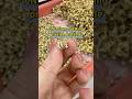 How does a CNC jewelry stone setting machine keep stones stable? #stonesetting