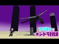 【マイクラ】つづちゃ史上最大の挑戦！エンドラ討伐の行方は？　2026/05/16