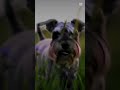 La felicidad en los pequeños detalles ☺️