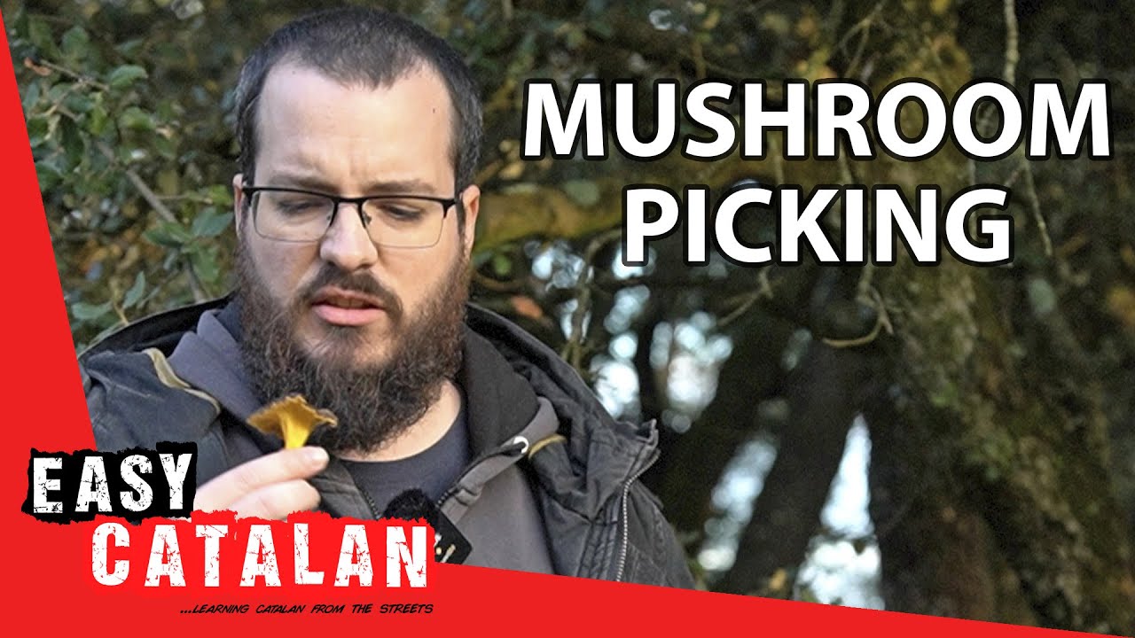 6 Things NOT To Do in The Forest | Easy Catalan 112