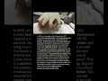How Two Nurses Turned Gloves Into a Life-Saving Comfort Tool