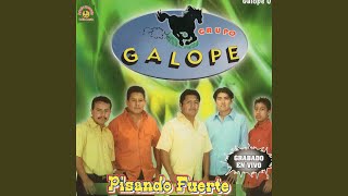 Video thumbnail of "Grupo Galope - Maricruz (En Vivo)"