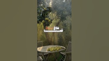| قرآن كريم راحة نفسية | اللهم انصر اهلنا في فلسطين وغزة 🇵🇸🫀 #قرآن #فلسطين_حرة #راحة_نفسيه