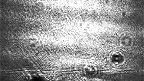 Digital Holography - Original Video