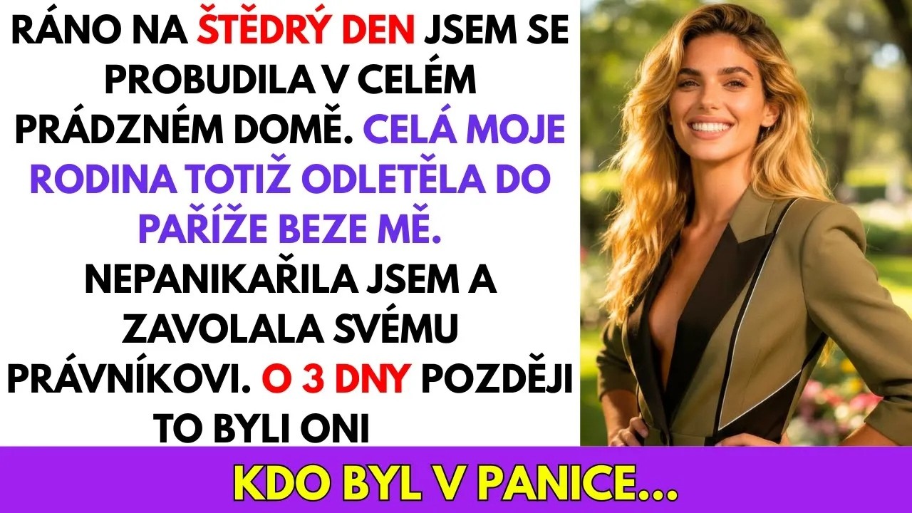 Probudila jsem se na Štědrý den do ticha. Žádné zvuky, žádný smích, žádná vůně cukroví. Jen prázdný dům. A na maminčině mobilu, který nechala na lince, svítila fotka. Všichni stáli před Eiffelovou...