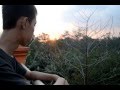 Silent Sanctuary- Paalam MV