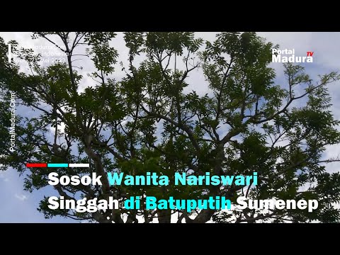 Wanita Nariswari Yang Hidup di Batuputih Sumenep | Keraton Batuputih | Arya Wiraraja