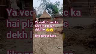 ya vedio 1 sec ka hai #village #veiws #1sec #subscribe