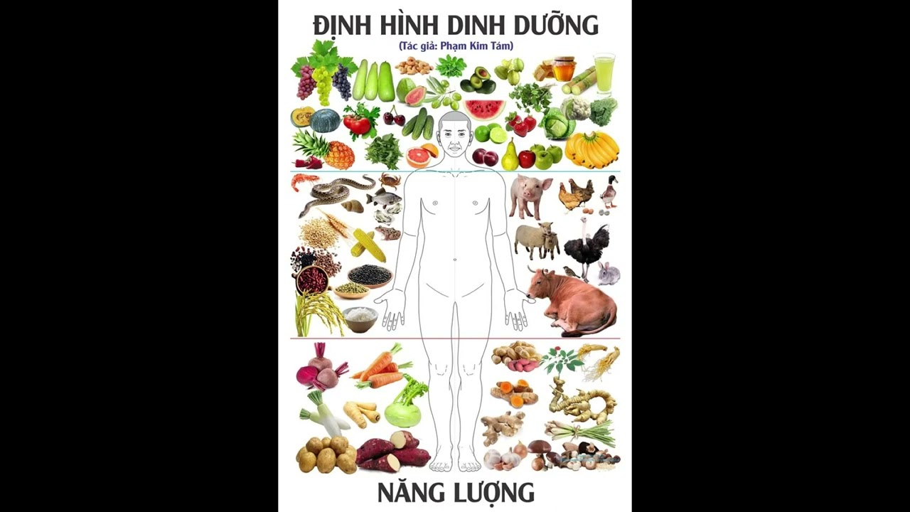 AUDIO PHẦN 1- KIẾN THỨC PHƯƠNG PHÁP CÂN BẰNG NĂNG... - youtube