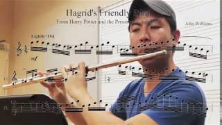 Harry Potter / Secrets of the Castle (John Williams) / Flute Solo / Flute Bits Daily #11