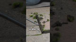Considerations for replacing a old broken paver in your project.