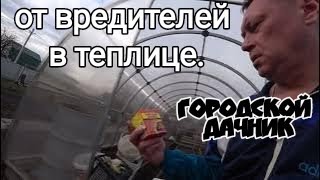 ОТ ВРЕДИТЕЛЕЙ В ТЕПЛИЦЕ