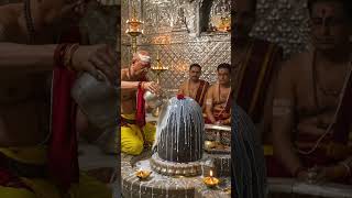 Jo Maheshwaram Jyotirling ka Abhishek dekhe, Mahadev uski manokamna poori kare 🙏🔱