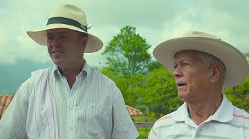 Solidaridad: Climate-Smart Coffee -  Shade Management