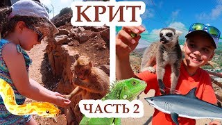 Крит.  Аквариум. Зоопарк. Черепахи и Лемуры.  Путешествия с детьми |  часть 2