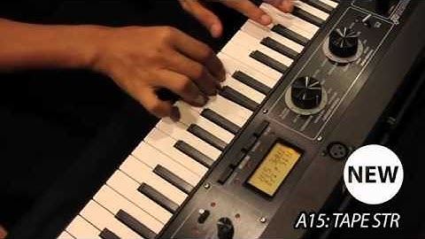 Introducing the MicroKorg XL+