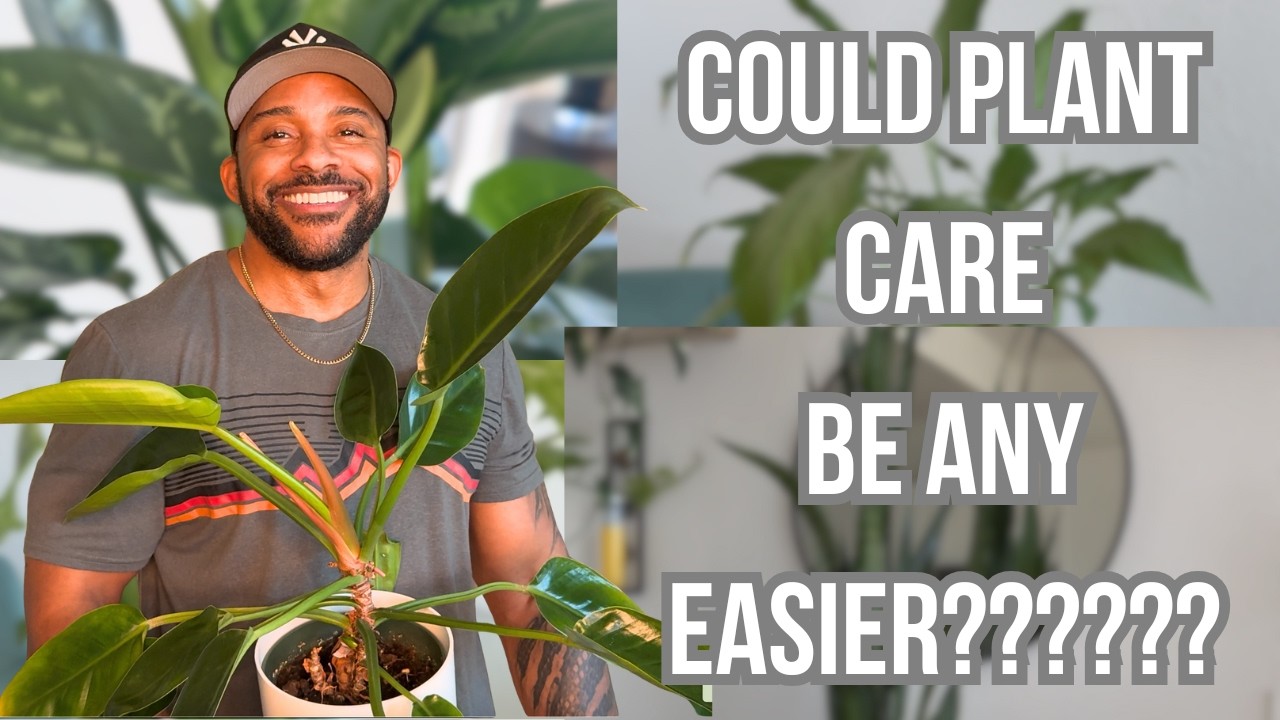 5 неприхотливых комнатных растений, которые должны быть у каждого в 2026 году