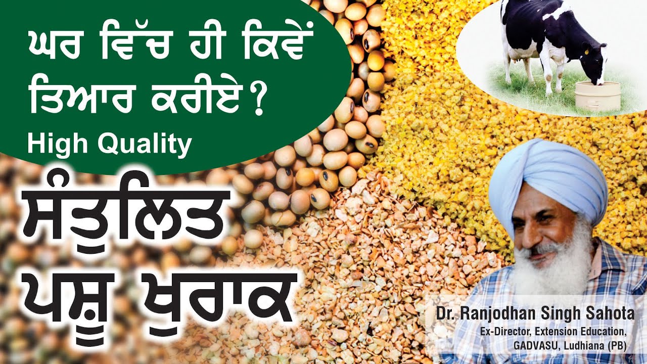 ਟਾਪ ਕੁਆਲਟੀ ਪਸ਼ੂ ਖੁਰਾਕ ਤਿਆਰ ਕਰਨ ਦਾ ਫਾਰਮੂਲਾ !Dairy Farming |