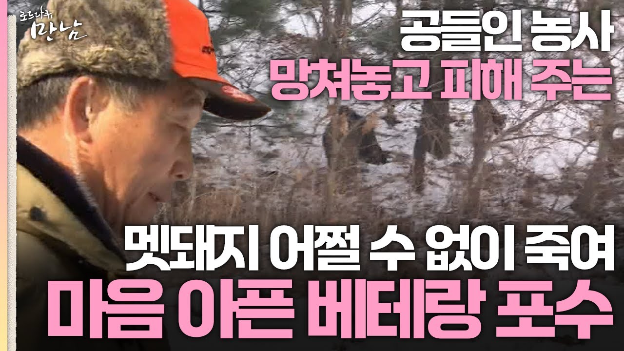 [로드다큐 '만남' 68회 1부] 공들인 농사 망쳐놓는 멧돼지 어쩔 수 없이 죽여 마음 아픈 베테랑 포수