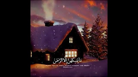 (أَوَلَمْ يَرَوْا إِلَى الطَّيْرِ فَوْقَهُمْ صَافَّاتٍ) سوره الملك إسلام صبحي حالات واتس آب