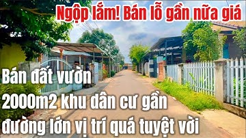 Gần tết cần tiền xoay sở. A Tuấn hạ giá xập sàn cần bán nhanh mảnh đất vườn 2000m2 khu bàn cờ ở BRVT
