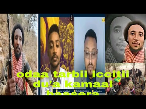 Odaa Tarbii Iccitii Du A Kamaal Heeboo Guutuu Gadi Baasun Akkaataa Du A Isaa Himeera