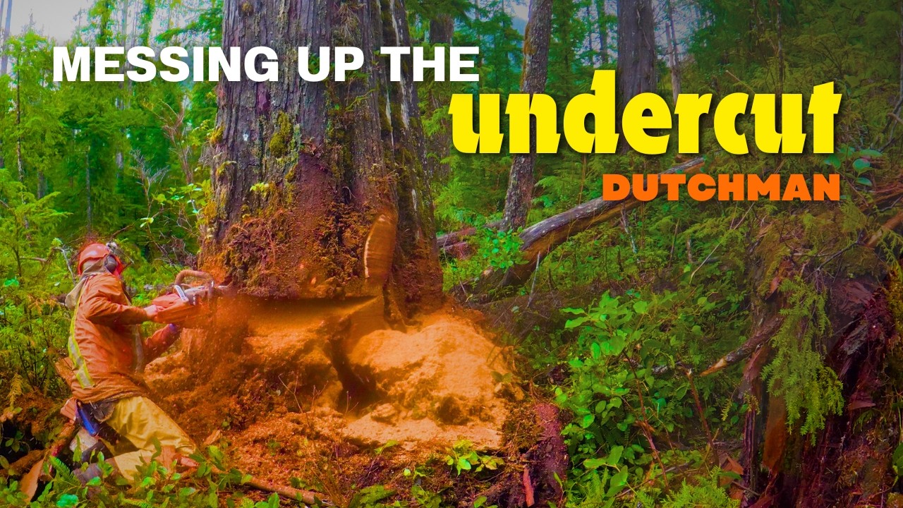 Working on a Bench in Westcoast Scrub