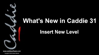 Insert New Level