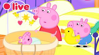 LIVE Cutest Baby Evie Episode Peppa Pig Best Big Sister Moments Kids Cartoons FULL Episodes