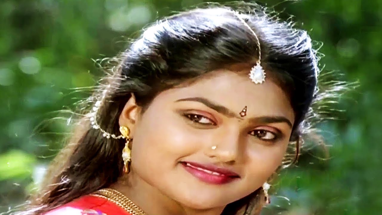 Paandi Nattu Thangam Movie All Songs  Tamil Songs  Paandi Nattu Thangam  KarthickNirosha