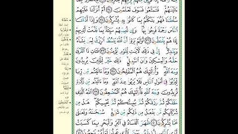 الصفحة (408) من المصحف الشريف ( سورة الروم - مشروع حفظ القرآن الكريم )
